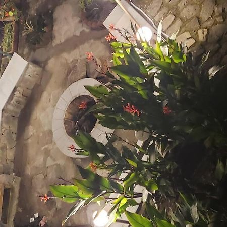 Kasauli Cascade A Cheerfull 4 Bedroom Challet Extérieur photo