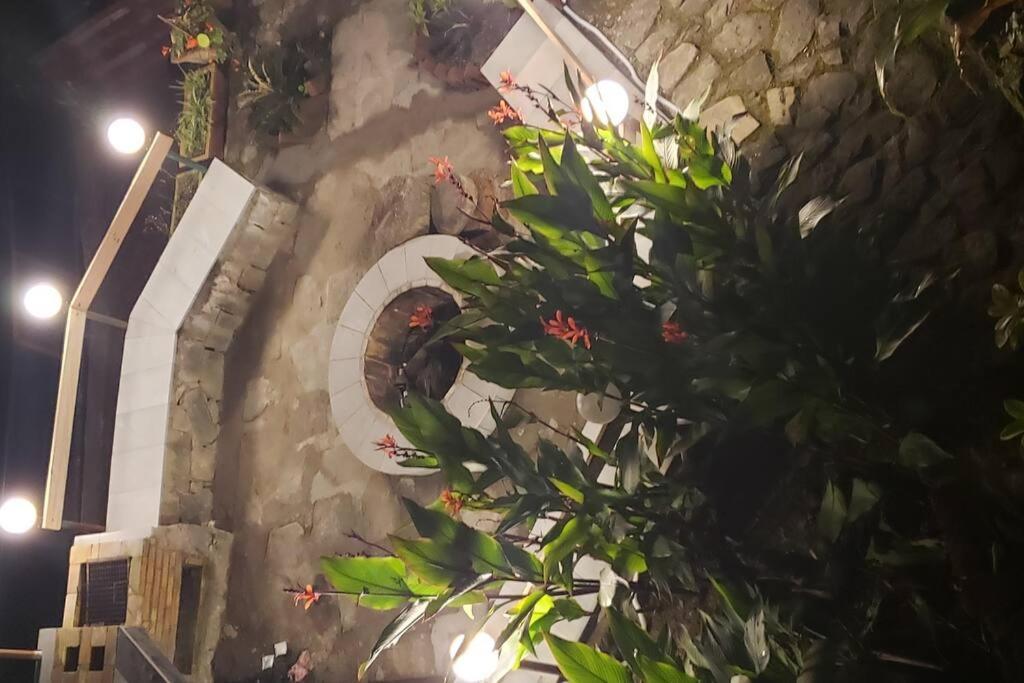 Kasauli Cascade A Cheerfull 4 Bedroom Challet Extérieur photo