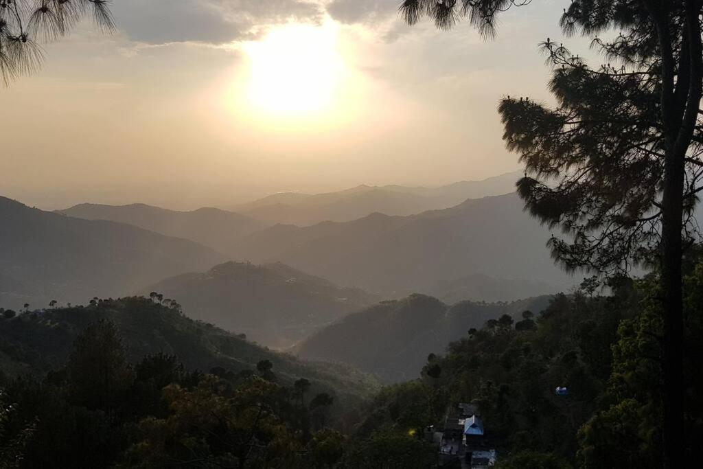 Kasauli Cascade A Cheerfull 4 Bedroom Challet Extérieur photo