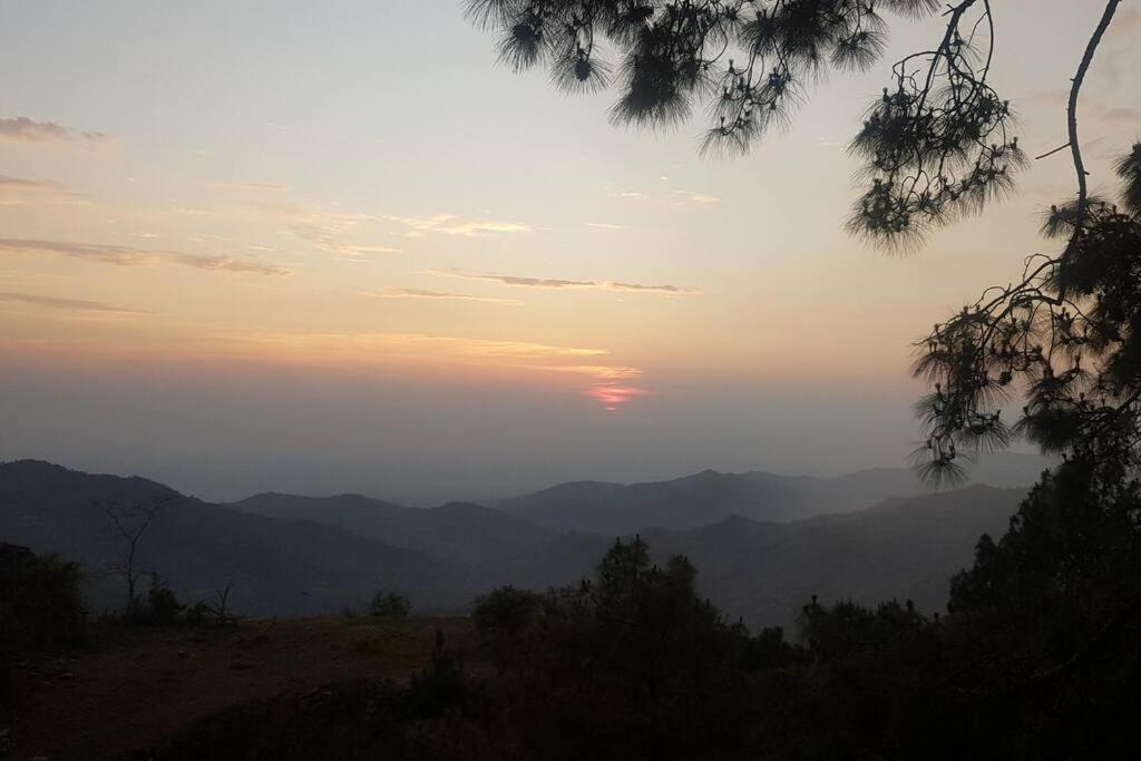 Kasauli Cascade A Cheerfull 4 Bedroom Challet Extérieur photo