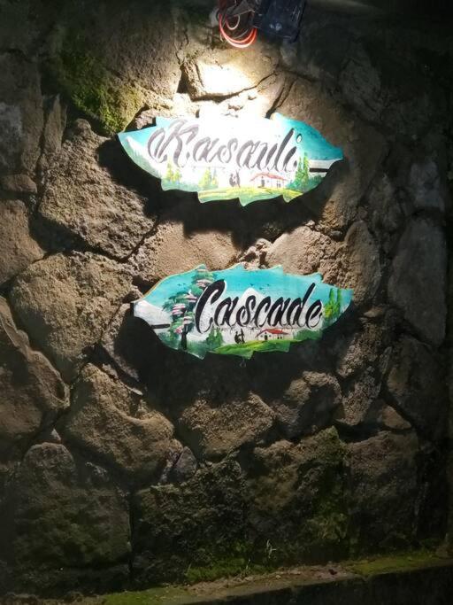Kasauli Cascade A Cheerfull 4 Bedroom Challet Extérieur photo