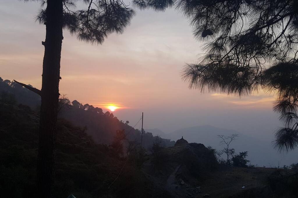 Kasauli Cascade A Cheerfull 4 Bedroom Challet Extérieur photo