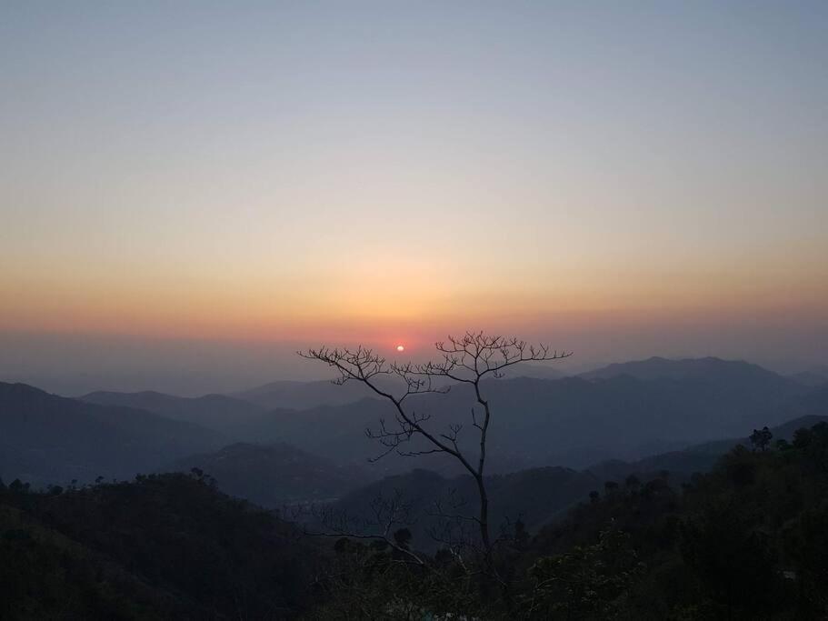 Kasauli Cascade A Cheerfull 4 Bedroom Challet Extérieur photo